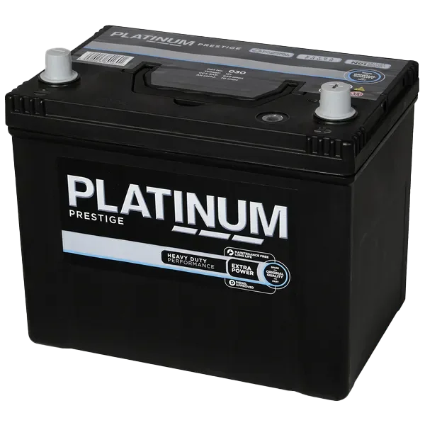 Platinum Prestige 030E Automotive Battery