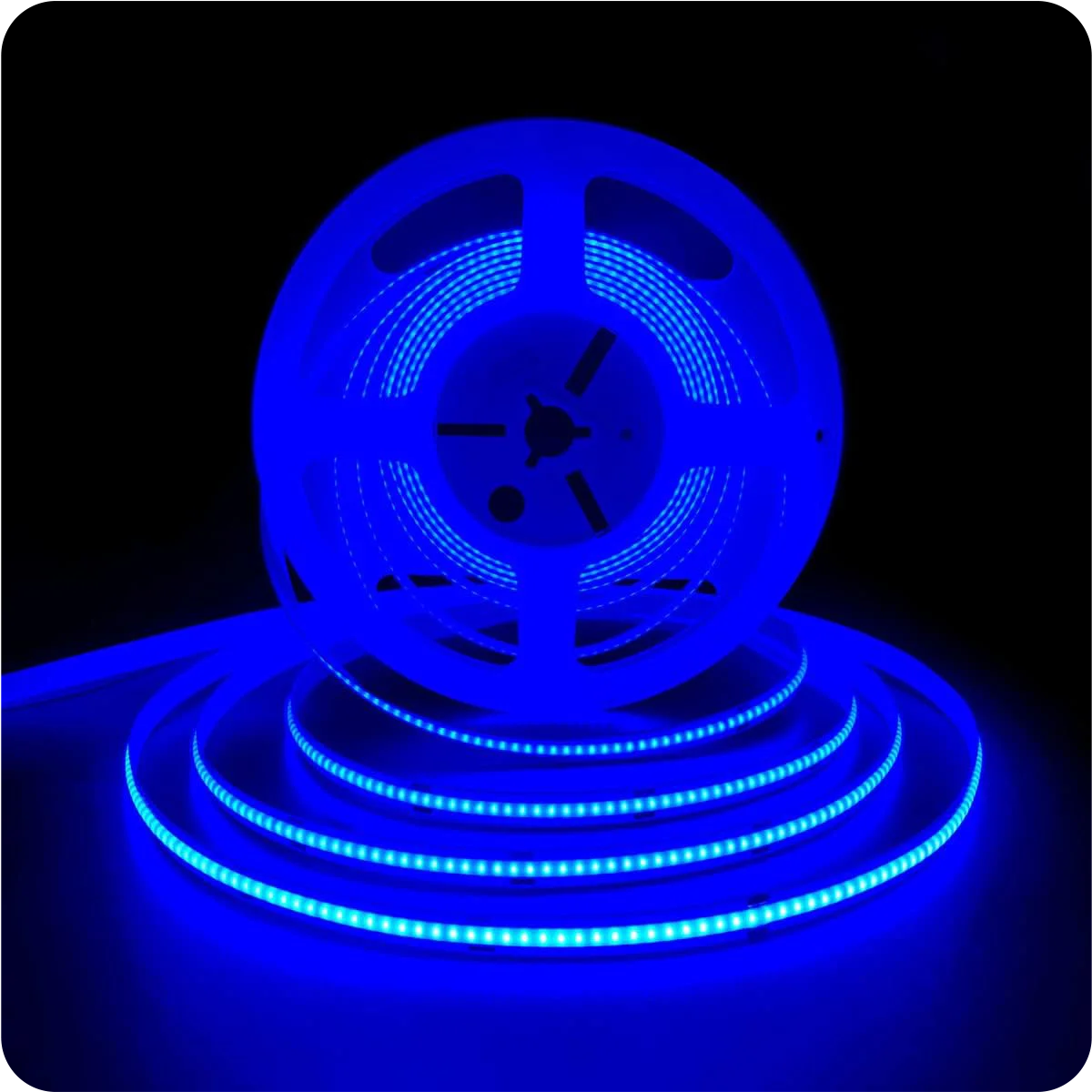 Luxlite 50m Roll COB LED Blue