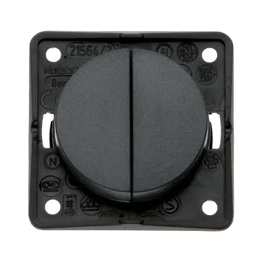 W4 Berker Twin Rocker Switch - Anthracite