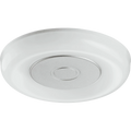 Hafele disc light