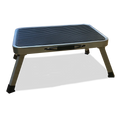 Quest Folding Metal Step