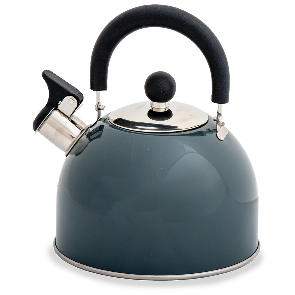 Quest Hamilton 2L Whislting Kettle - Slate