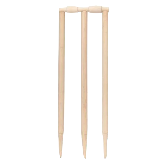 Cricket set (size 5)