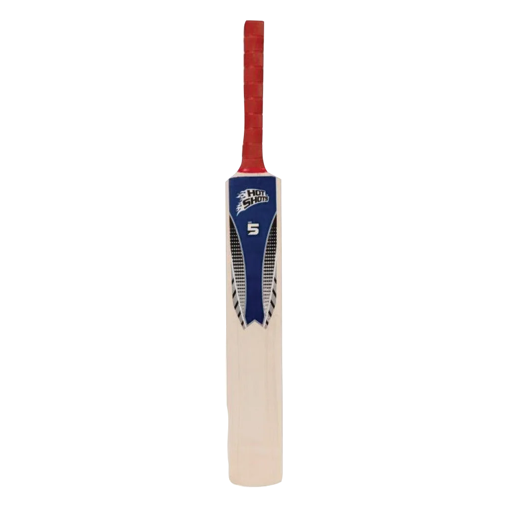 Cricket set (size 5)