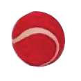 Cricket set (size 5)