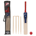 Cricket set (size 5)