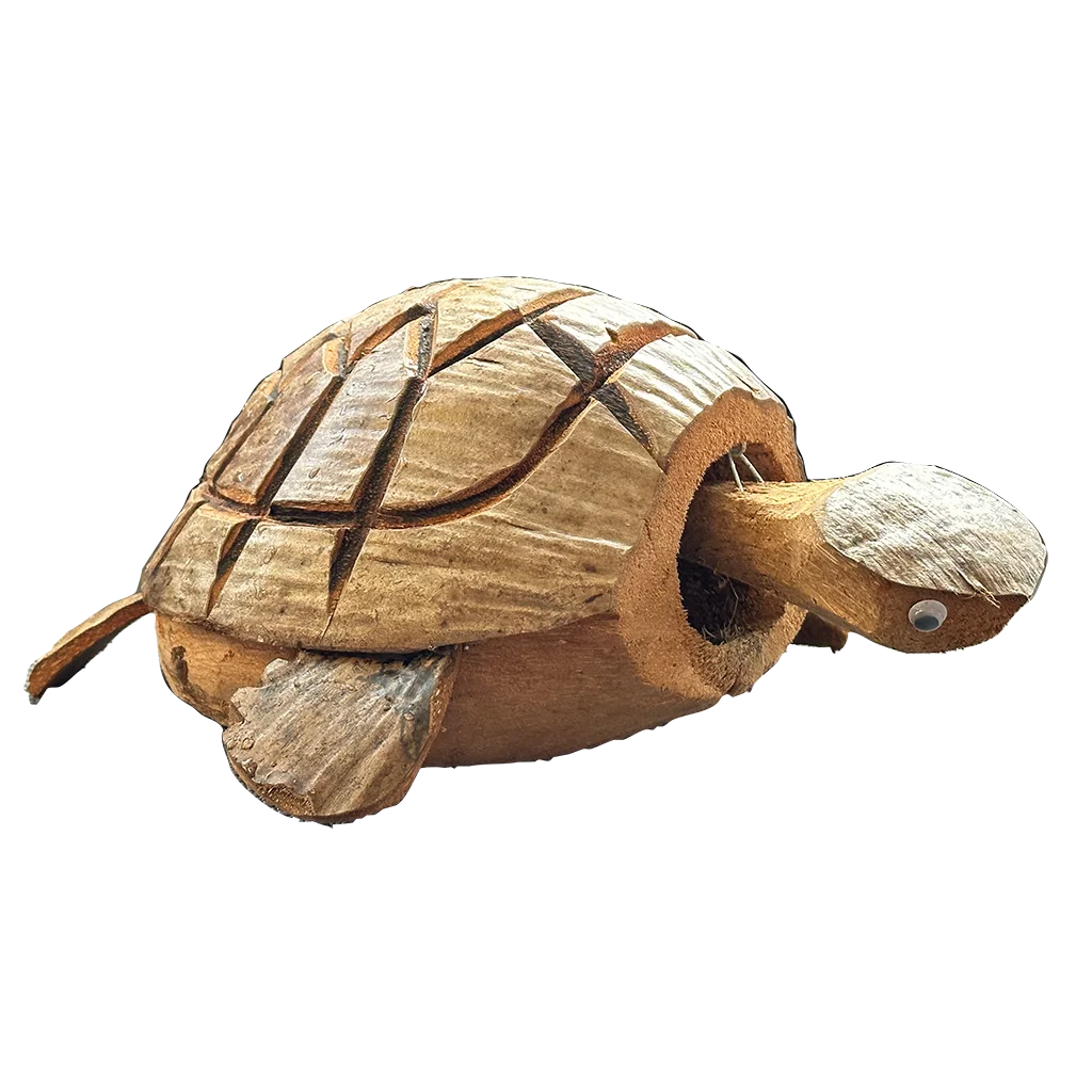 Coconut Nodding Turtle M0045 - image 2