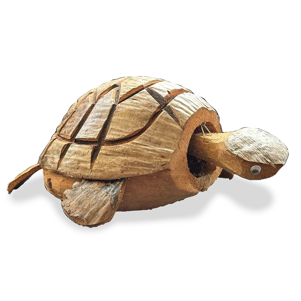 Coconut Nodding Turtle M0045