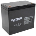 Platinum VRLA PAGM55-12 Battery