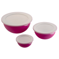 Omada Sanaliving Fuscia 3 Piece Bowl Set with Lids